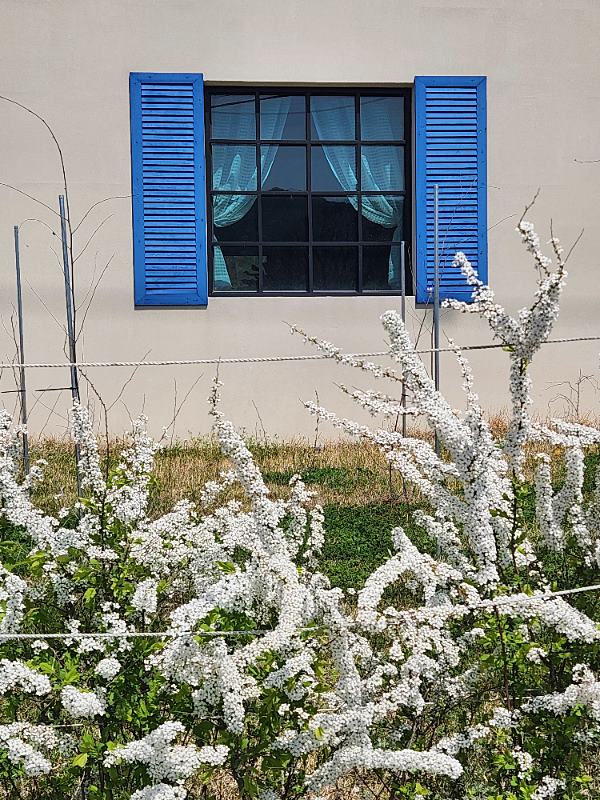 전북 장수 상가 주택 매매 수익형 주택 카페 매매 (5).jpg