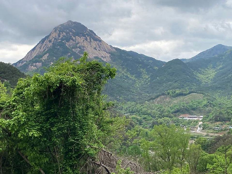 경북 문경 시골집 매매 멋진 뷰 전원주택 매매 (2).jpg