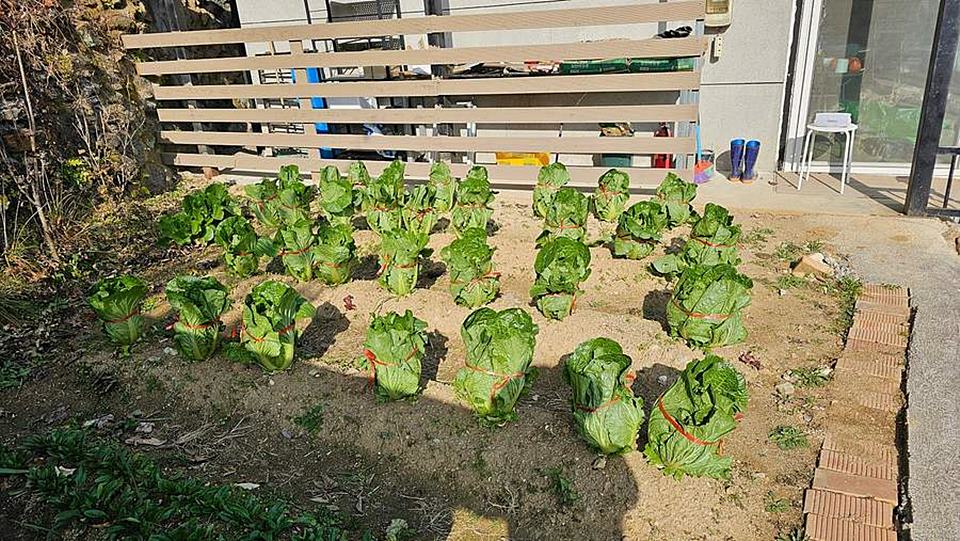 전남 구례 세컨하우스 매매 아담한 시골집 매매 (3).jpg