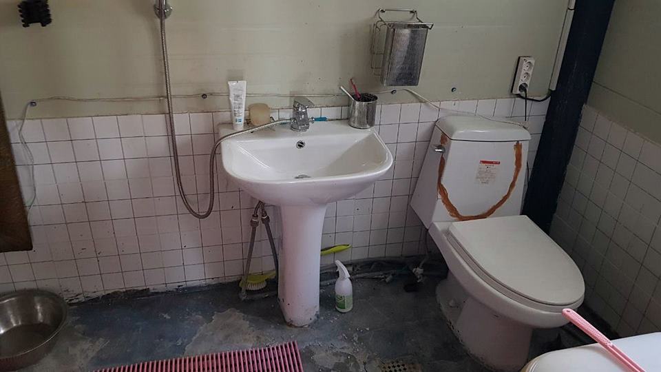 강원도 홍천 산속 오두막 임대 원룸 주택 월세 (4).jpg