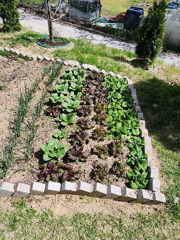 경북 청도 전원주택 매매 예쁜 시골집 매매 (6).jpg