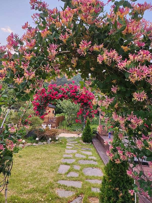 경북 청도 전원주택 매매 예쁜 시골집 매매 (5).jpg