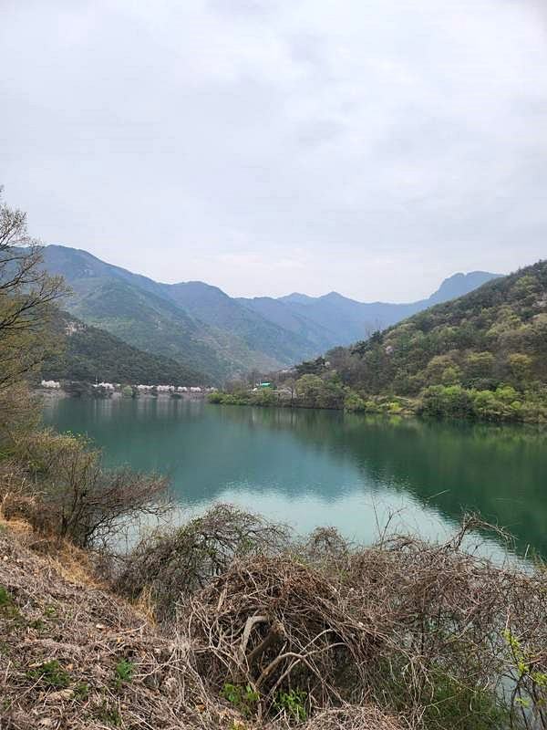 경북 청도 전원주택 매매 예쁜 시골집 매매 (13).jpg