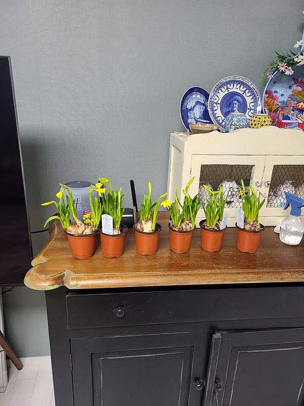 경북 청도 전원주택 매매 예쁜 시골집 매매 (10).jpg