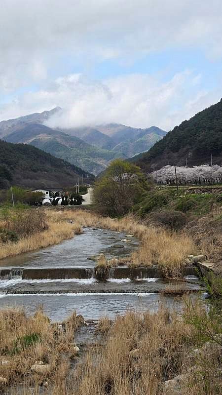 경남 함양 시골집 매매 돌담 예쁜 촌집 매매 (16).jpg