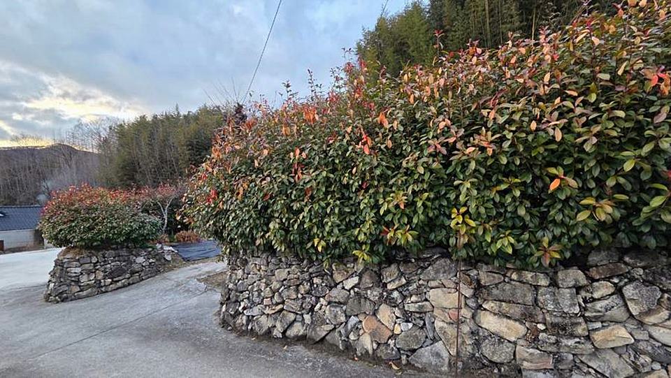 경남 함양 시골집 매매 돌담 예쁜 촌집 매매 (2).jpg