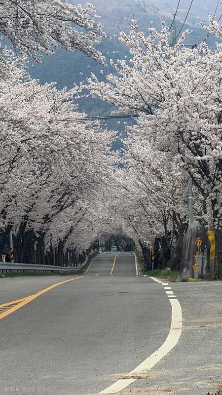 경남 함양 시골집 매매 돌담 예쁜 촌집 매매 (15).jpg