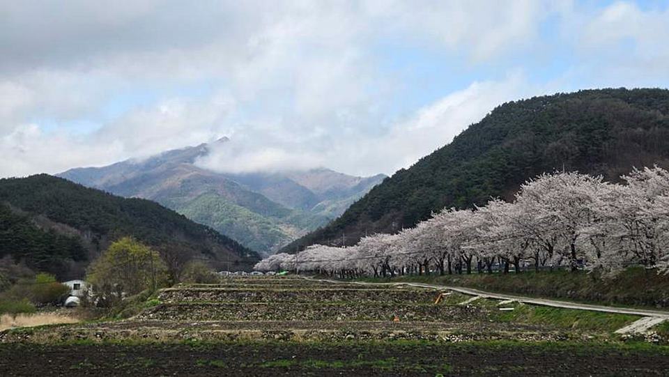 경남 함양 시골집 매매 돌담 예쁜 촌집 매매 (7).jpg