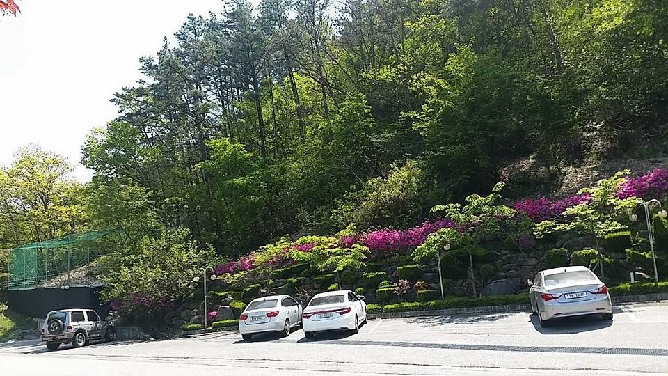 전북 완주 상가주택 매매 다용도 카페 매매 (2).jpg