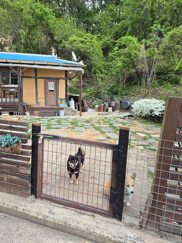 경북 영주 시골집 매매 지상권 촌집 매매 (3).jpg