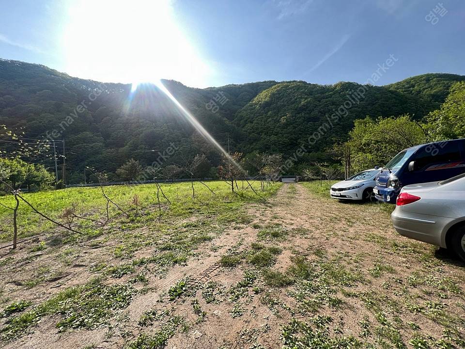 강원도 인제 전원주택 임대 계곡 옆 시골집 월세 (3).jpg