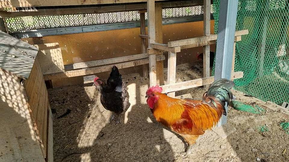 충북 제천 전원주택 매매 따뜻한 시골집 매매 (10).jpg