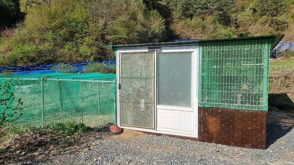 충북 제천 전원주택 매매 따뜻한 시골집 매매 (9).jpg