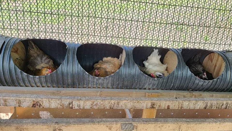 충북 제천 전원주택 매매 따뜻한 시골집 매매 (11).jpg