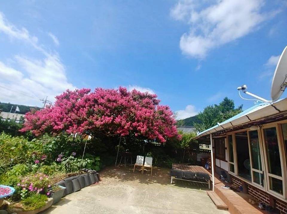 전남 장흥 시골집 매매 고즈넉한 주택 매매 (1).jpg