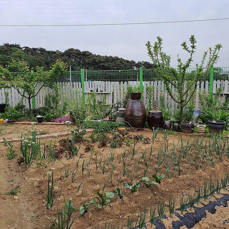 경기도 화성 시골집 매매 힐링 단독주택 매매 (7).jpg