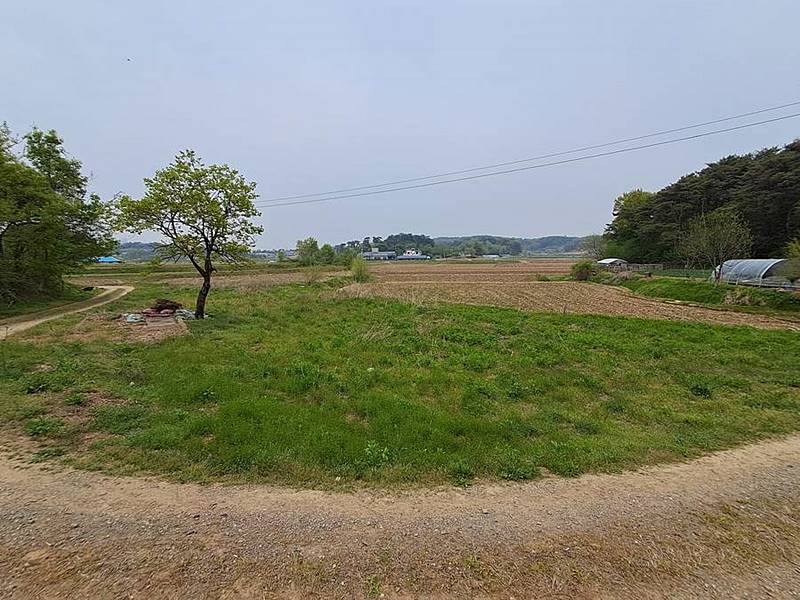 충남 당진 한옥 매매 넓은 토지 시골집 매매 (8).jpg