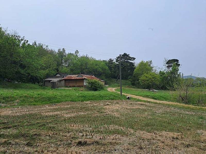 충남 당진 한옥 매매 넓은 토지 시골집 매매 (7).jpg