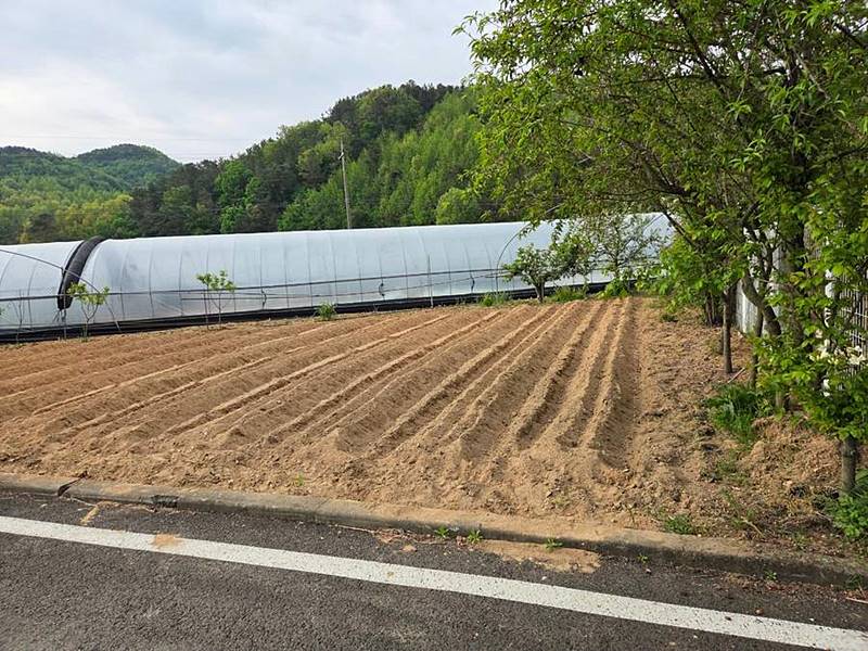 충남 예산 시골집 매매 예쁜 전원주택 매매 0 (7).jpg