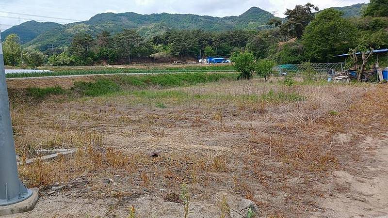 경북 영주 농가주택 매매 소박한 시골집 매매 (12).jpg