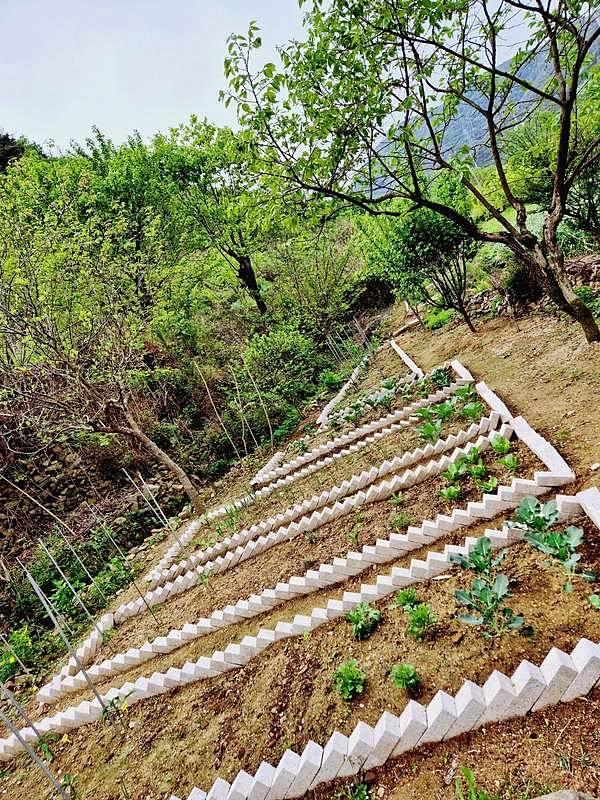 경남 산청 시골집 매매 정원 예쁜 주택 매매 (9).jpg