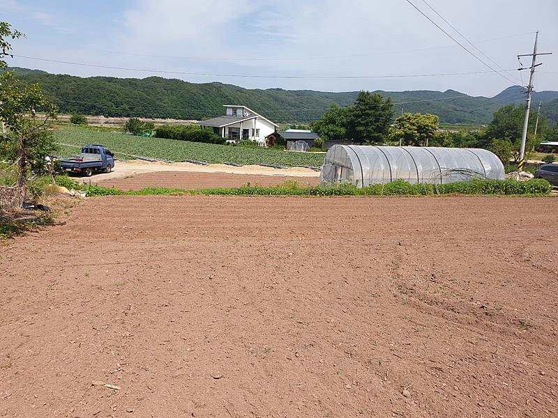 경북 안동 시골집 매매 평온한 촌집 매매 (4).jpg