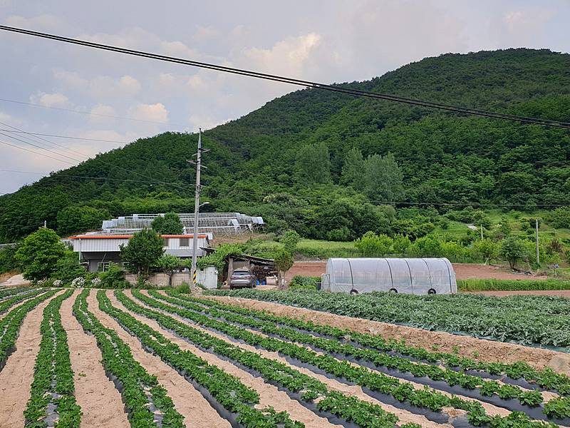 경북 안동 시골집 매매 평온한 촌집 매매 (6).jpg