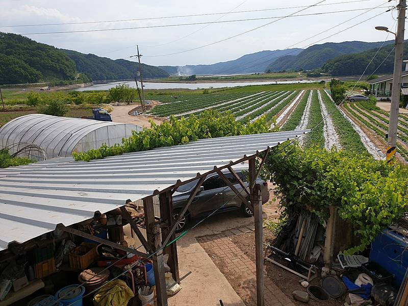 경북 안동 시골집 매매 평온한 촌집 매매 (7).jpg