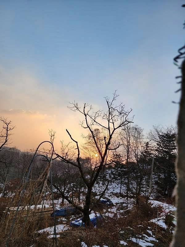 경북 김천 촌집 매매 낭만 시골집 매매 (8).jpg