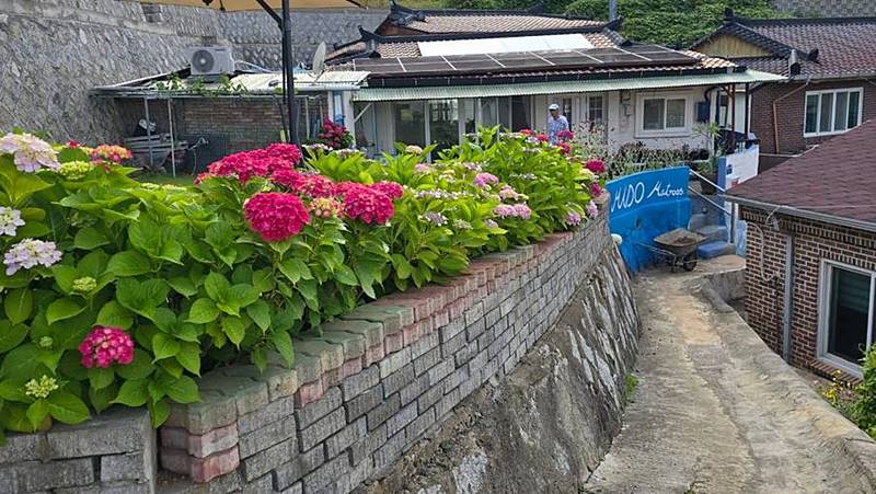 경남 사천 마도 바다뷰 섬집 매매 정원 있는 시골집 세컨하우스 (7).jpg