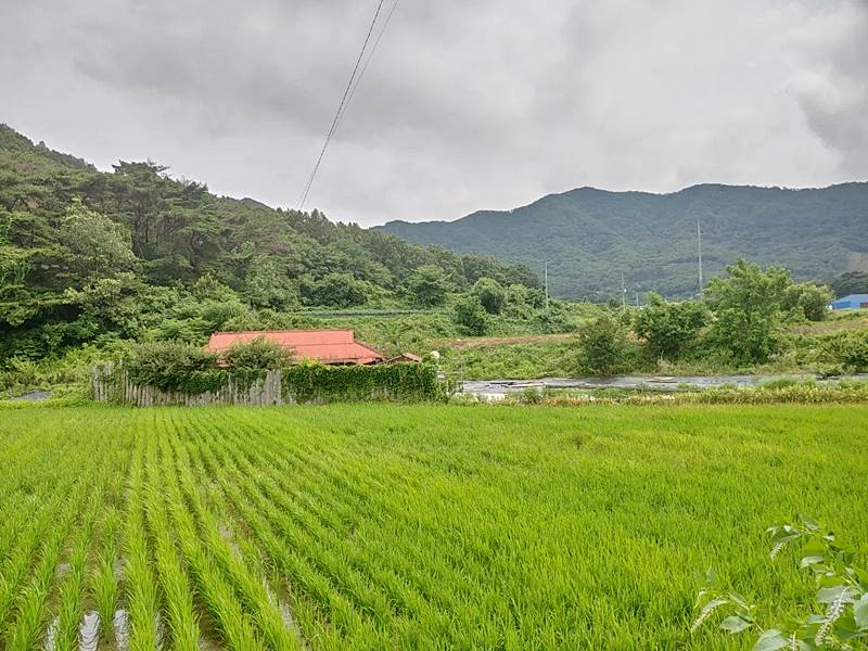 충남 청양 구옥 매매 오래된 시골집 매매 (2).jpg