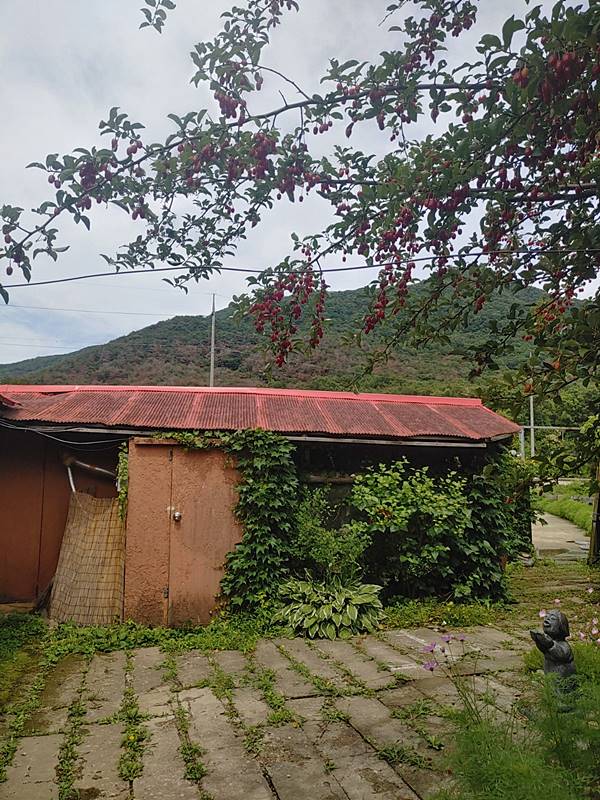 충남 청양 구옥 매매 오래된 시골집 매매 (10).jpg