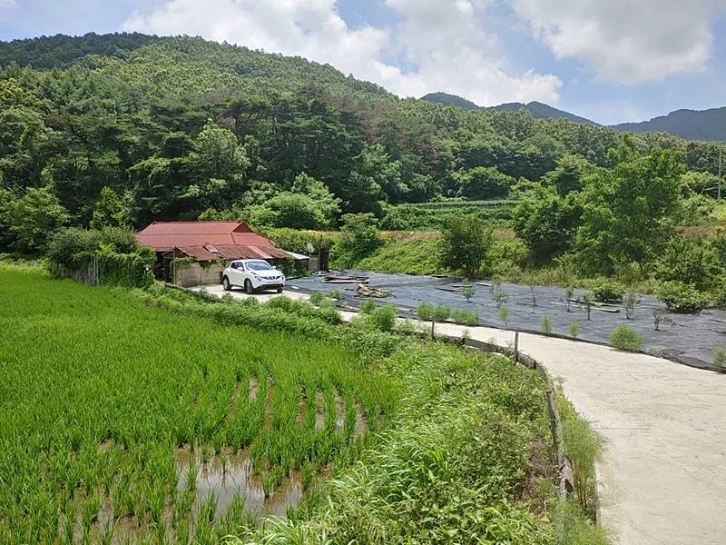 충남 청양 구옥 매매 오래된 시골집 매매 (1).jpg