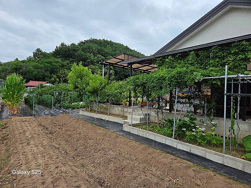 경남 산청 전원주택 매매 편안한 시골집 매매 2 (1).jpg