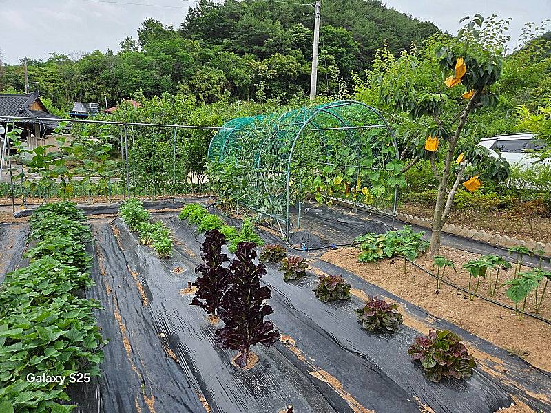 경남 산청 전원주택 매매 편안한 시골집 매매 4 (1).jpg