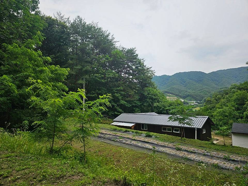 경북 김천 시골집 매매 낭만 주택 매매 1 (4).jpg