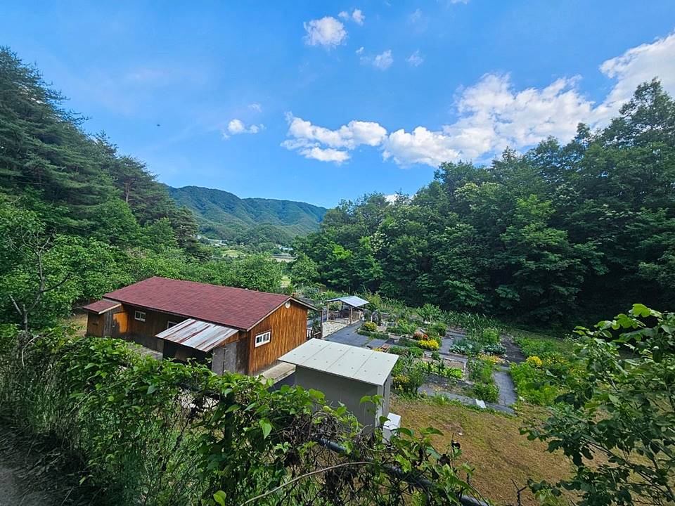 경북 김천 시골집 매매 낭만 주택 매매 1 (2).jpg