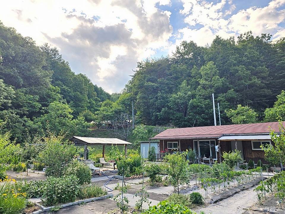 경북 김천 시골집 매매 낭만 주택 매매 1 (1).jpg