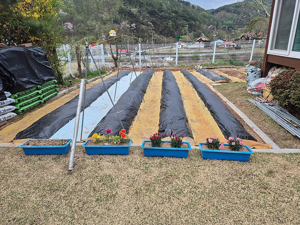 충북 제천 전원주택 매매 배산임수 주택 급매물 4 (5).jpg