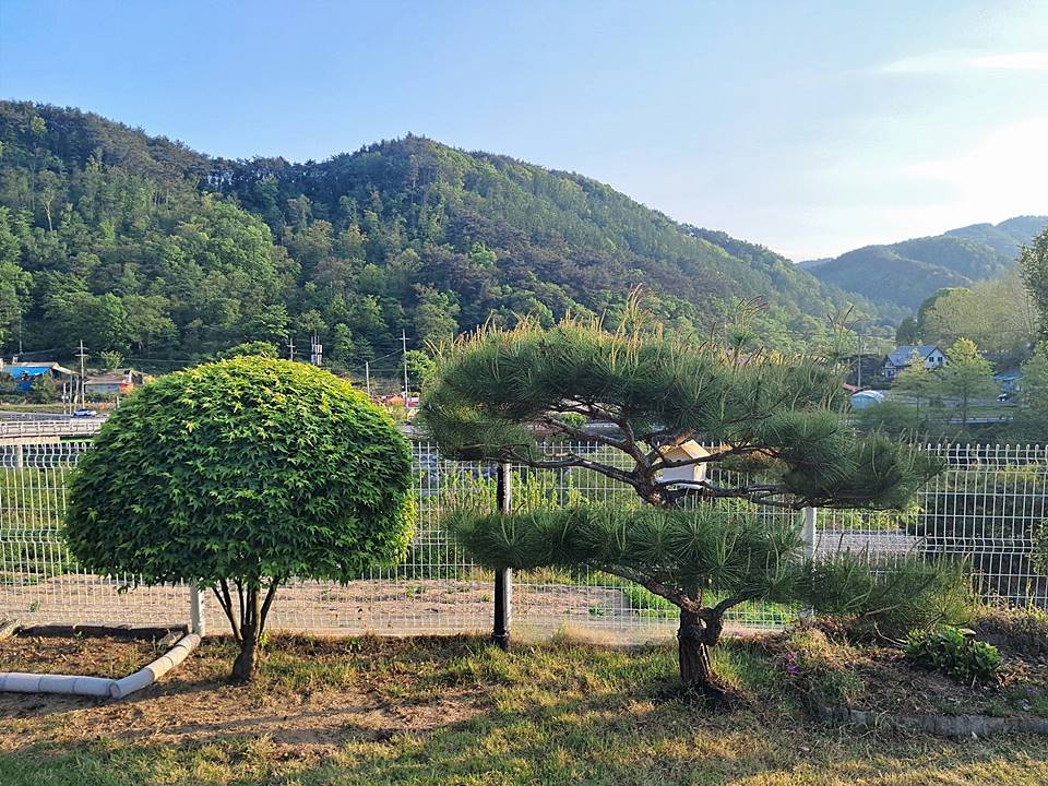 충북 제천 전원주택 매매 배산임수 주택 급매물 4 (2).jpg