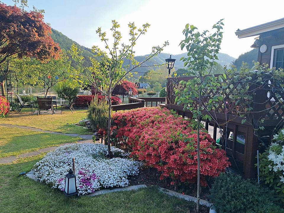 충북 제천 전원주택 매매 배산임수 주택 급매물 4 (1).jpg