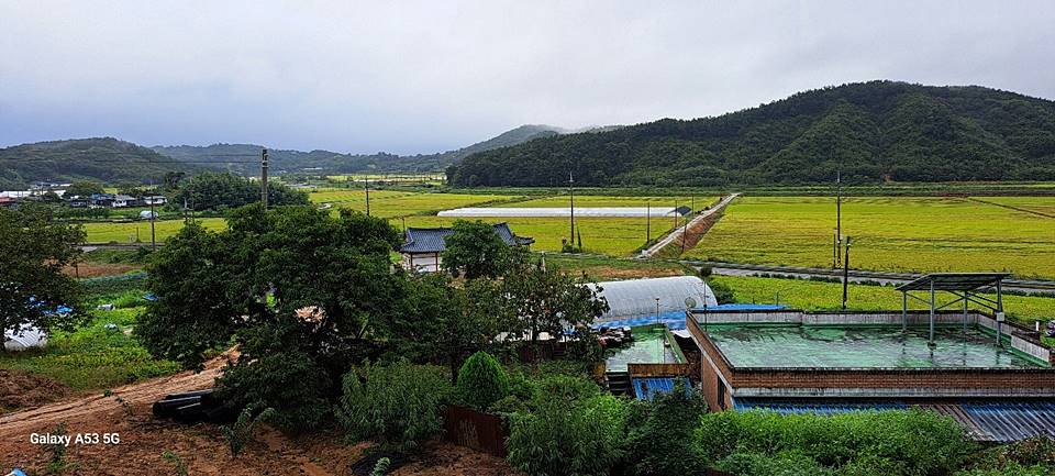 충남 부여 신축 주택 매매 넓은 대지 전원주택 매매 (2).jpg