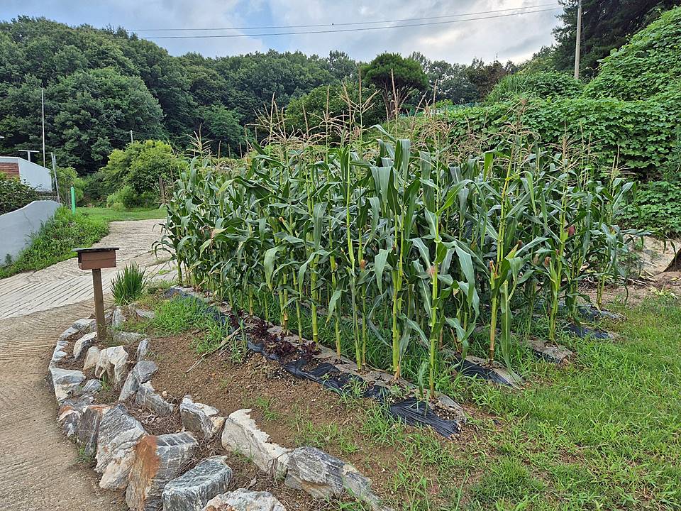 충북 청주 시골집 매매 친환경 주택 매매 2 (2).jpg