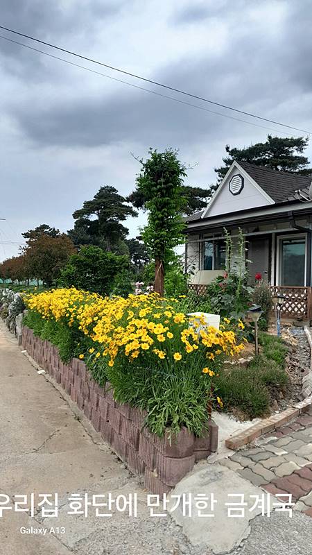 충남 태안 시골집 매매 소형 전원주택 매매 1 (2).jpg