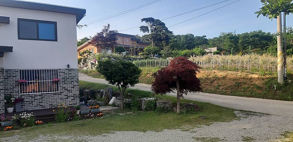 충남 홍성 시골집 매매 아늑한 목조주택 매매 2 (2).jpg