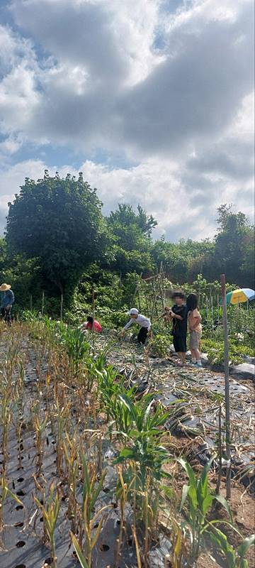 충남 논산 정성 주택 매매 시골집 매매 1 (3).jpg