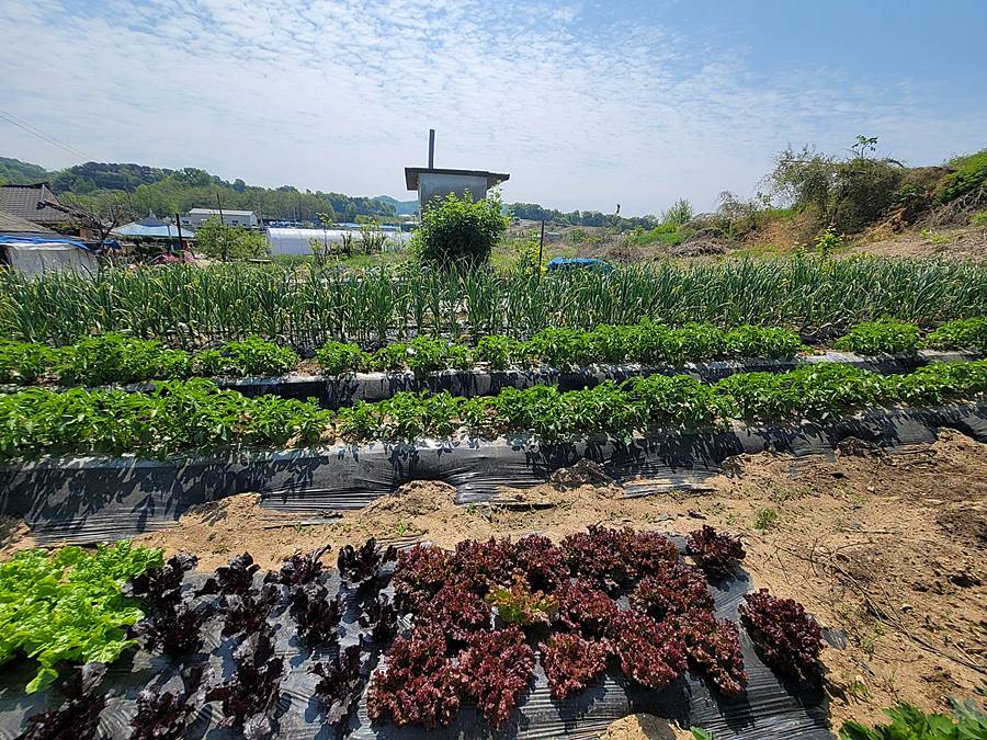 충남 논산 정성 주택 매매 시골집 매매 1 (2).jpg