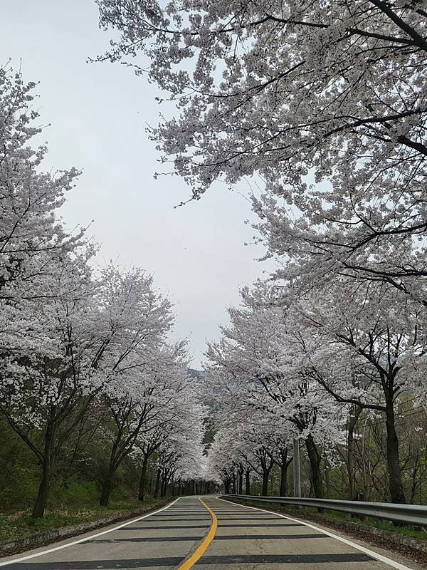 경기도 여주 전원주택 전세 2층 주택 월세 임대 4 (2).jpg