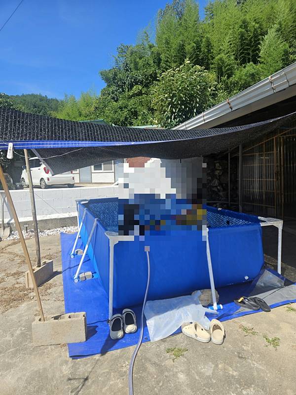 경북 울진 경치 좋은 시골집 촌집 매매 1 (3).jpg