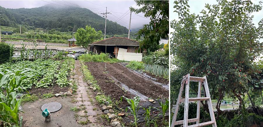 경남 창원 시골집 임대 낭만 촌집 월세 (4).jpg